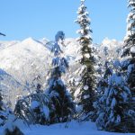 Mount Baker, snow, snowshoe, snow covered trees