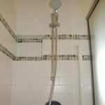 Grab bar, shower niche