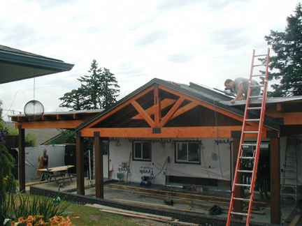WIP5 Work In Progress - Installing the Skylights on the Completed Roofline